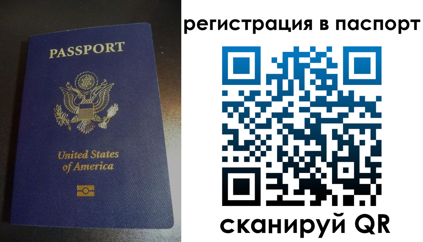 прописка для школы в Курске