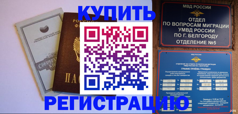 прописка гарантия в Курске